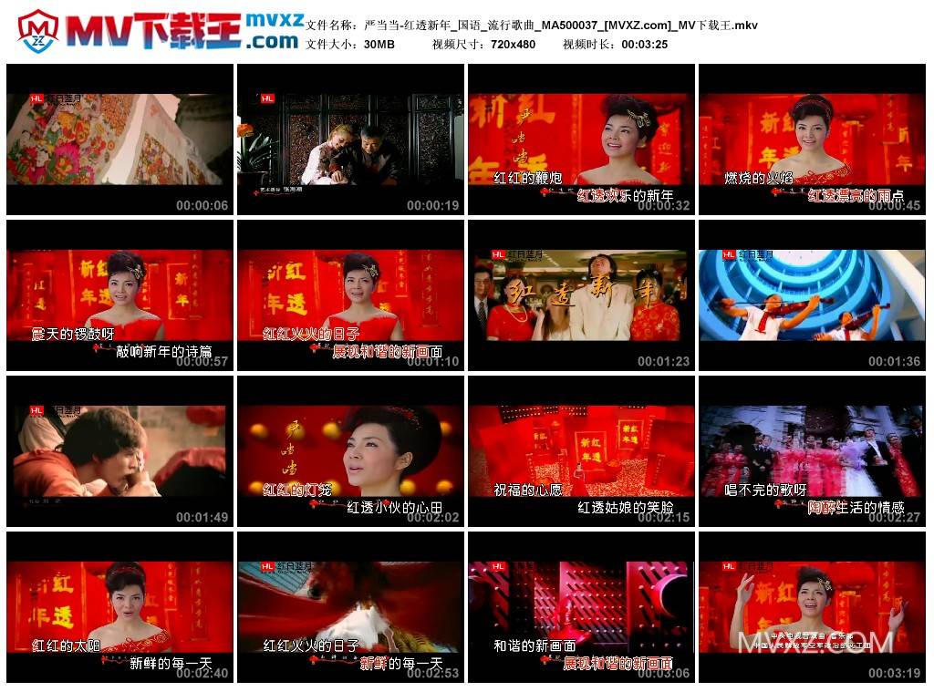 严当当-红透新年_国语_流行歌曲_MA500037